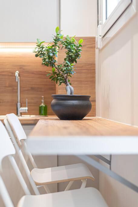 Apartamento Peaceful Shelter In Atenas Exterior foto